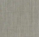 Tortora