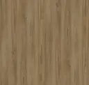 Nutmeg