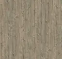 Silver Wood