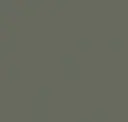 Otter Grey