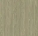 Driftwood