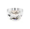 Polished Nickel