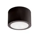 Bronze Dz1