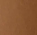 Burnt Sienna