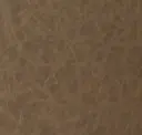 Saddle