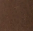 Cocoa