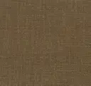 Fossa