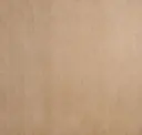 Hazelnut Brown
