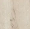 White Elm