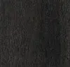 Charred Larch