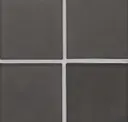 Shadow