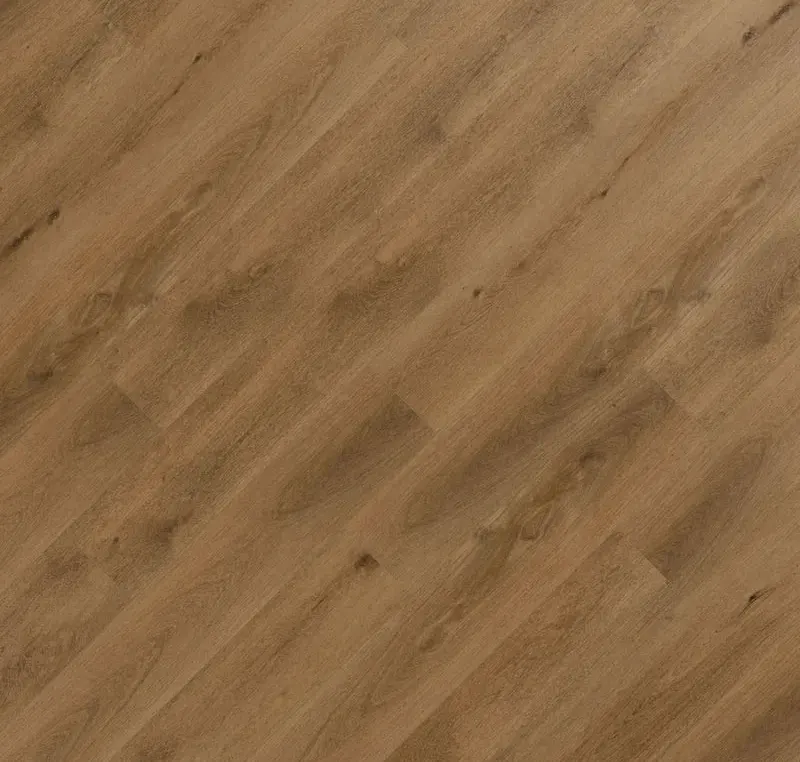 Main