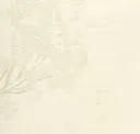 Pure White