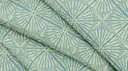 Eucalyptus