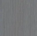 Brush Of Silver