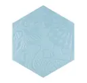 Aqua