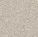 Sesame