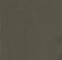 Army