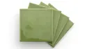 Cactus Green