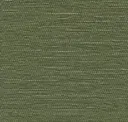 Moss