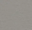 Antelope