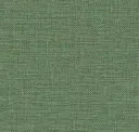 Seagrass