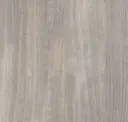 Halo Pine