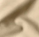 Desert 2132