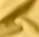 Canary 2210