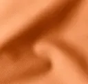 Apricot 2412