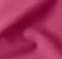 Fucsia 2499