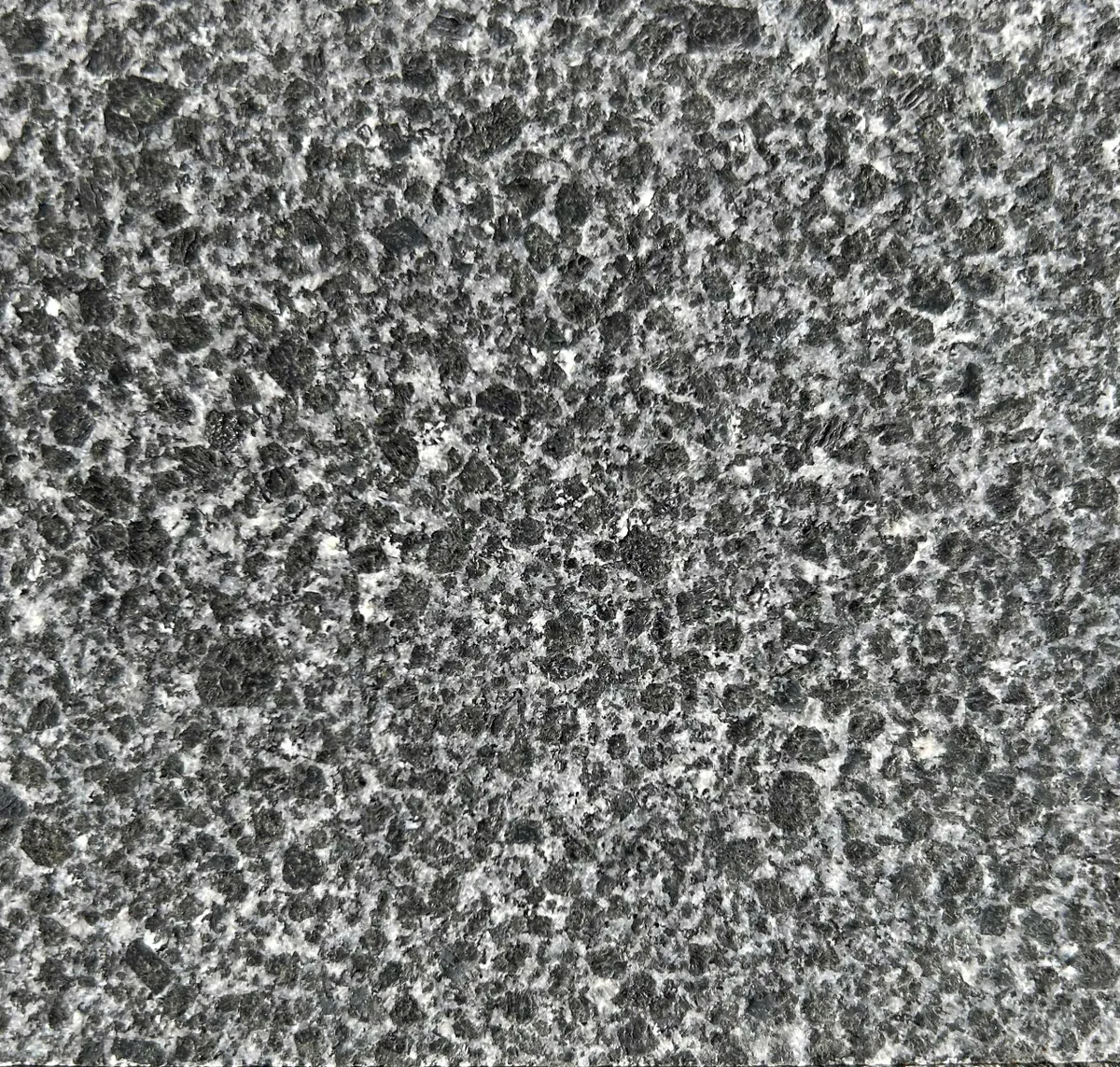 Main