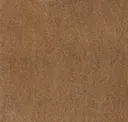 Pecan