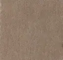 Pebble