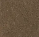 Cedar