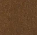 Sable