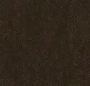 Chestnut
