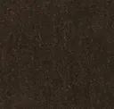 Cocoa