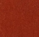Pumpkin Spice