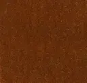 Butterscotch