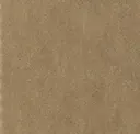 Oak