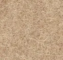 Sandstone