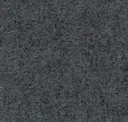 Dove Gray
