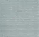 Air Force Blue
