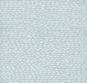 Ice Blue