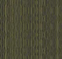 331