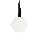Polished Black Nickel