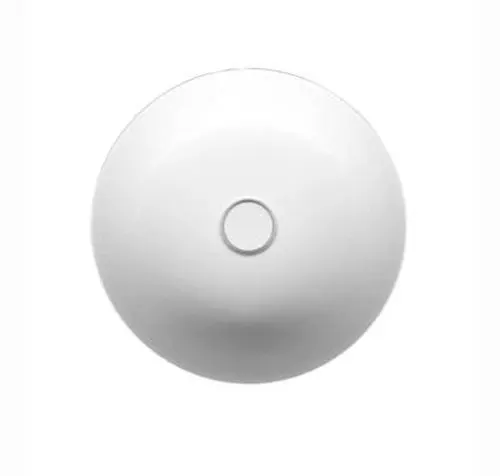 Main