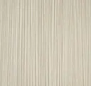 Beech