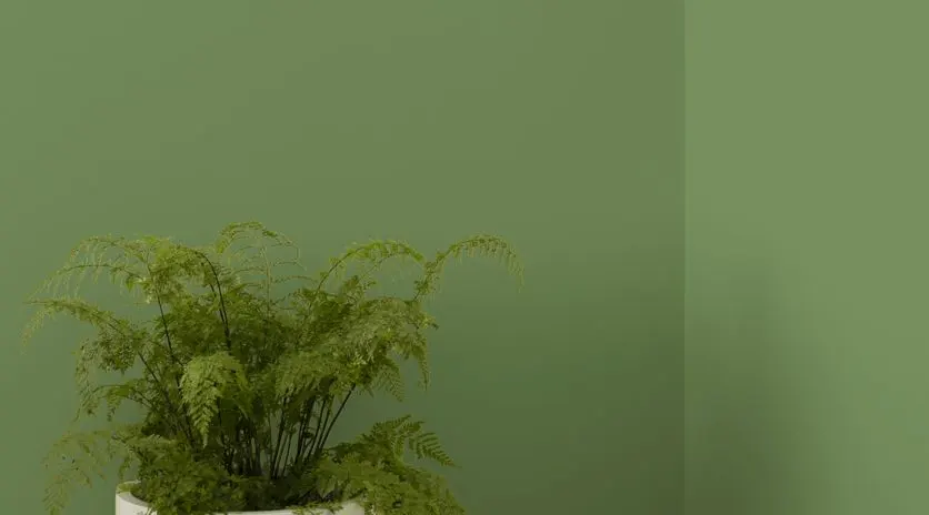 Install_01
